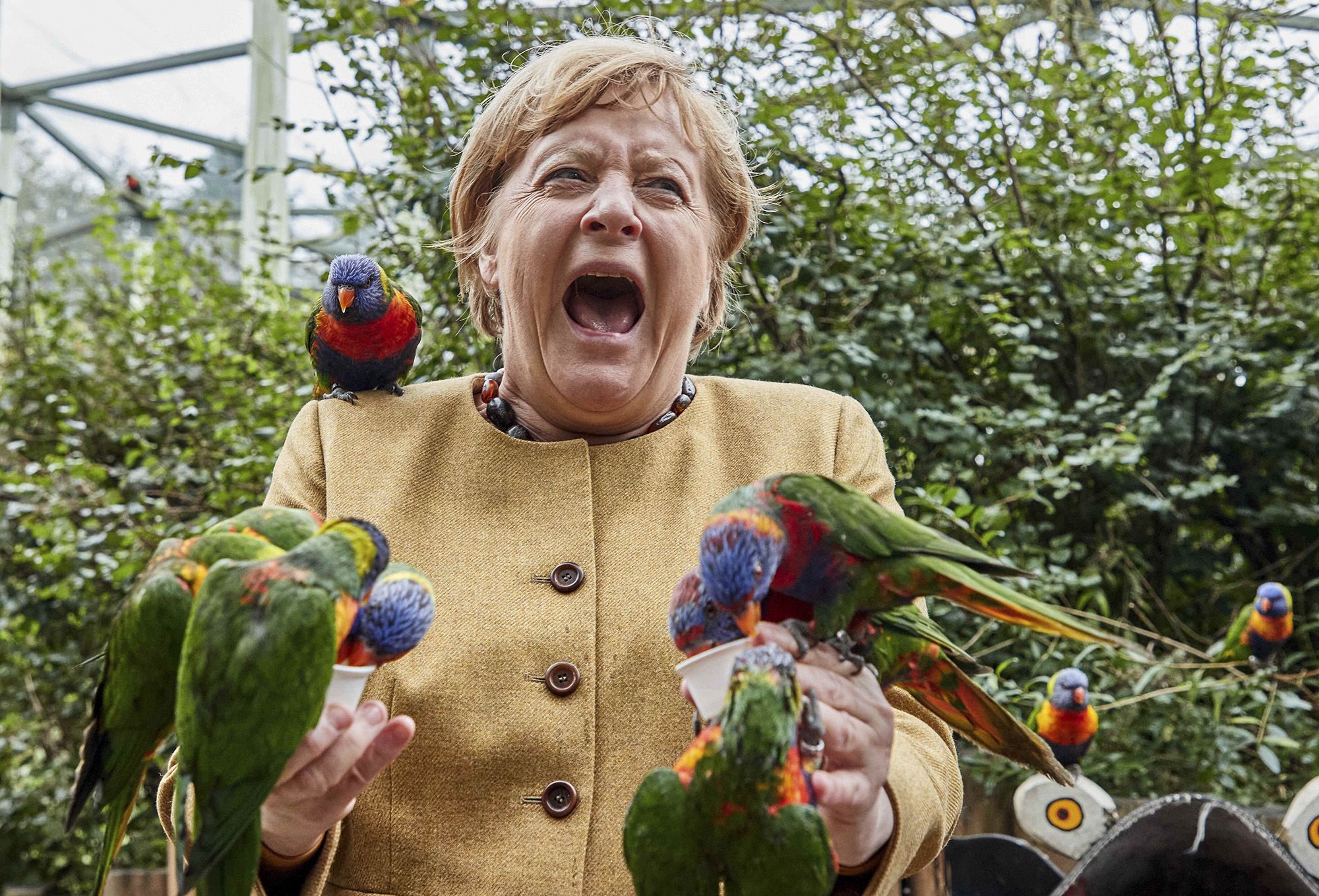German Chancellor Angela Merkel feeds Australian lorikeets at Marlow Bird Park in Marlow, Germany, on Sept. 23.